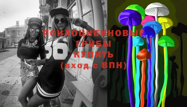 PSILOCYBIN Баксан