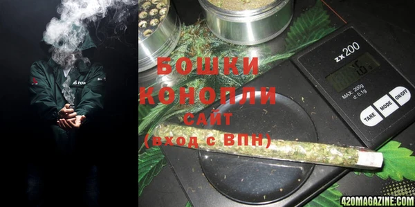 PSILOCYBIN Баксан
