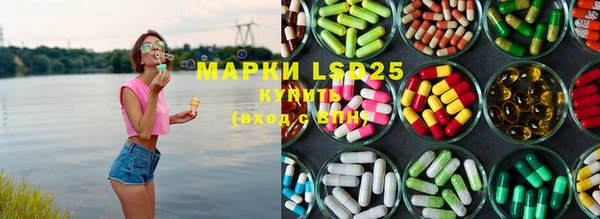 PSILOCYBIN Баксан